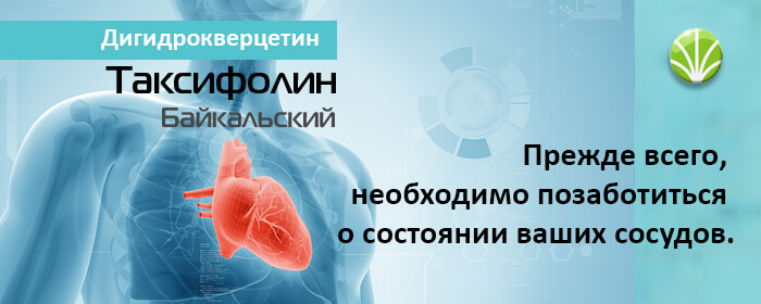 Таксифолин «Байкальский» защищает от лишнего холестерина